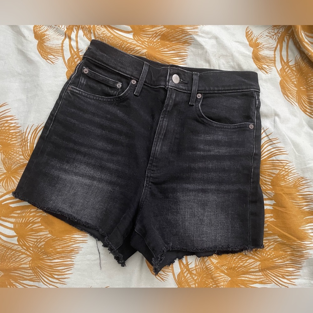 bnwot Denim Forum Arlo short 26